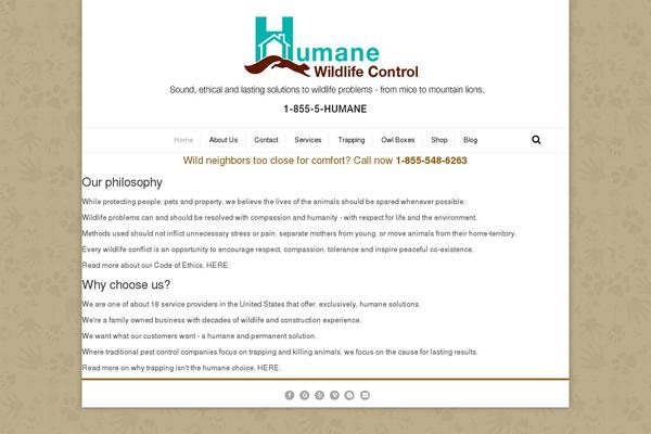 Bb-theme-child theme site design template sample