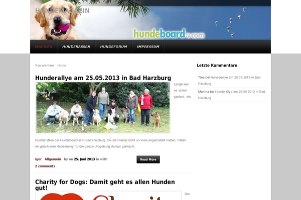 SmartMag theme site design template sample