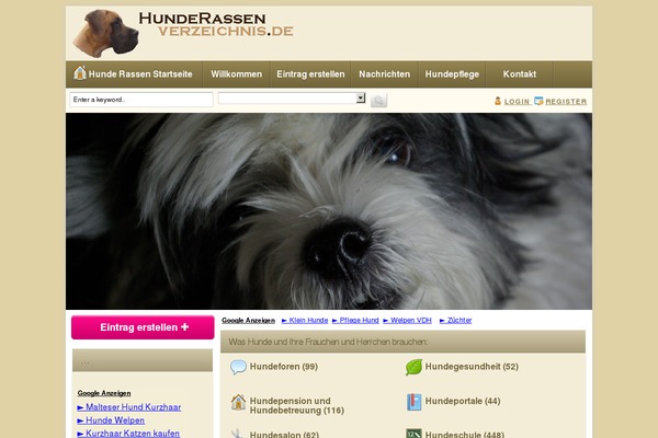 WordPress website example screenshot