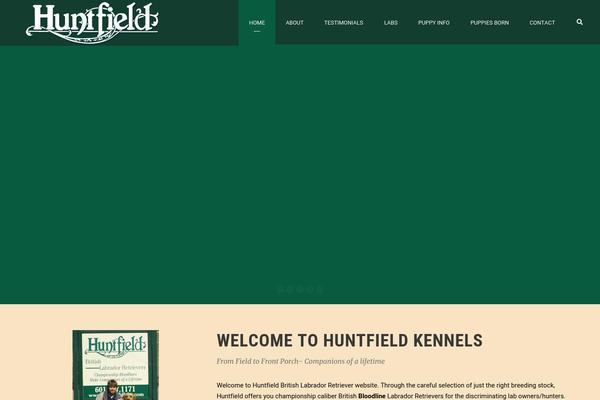 huntfieldlabs.com site used Bigslam-child
