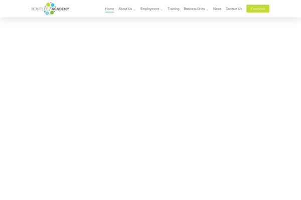 Salient theme site design template sample