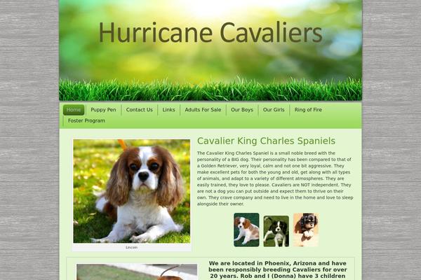 hurricanedogs.com site used Hcd