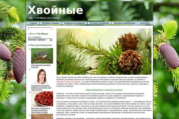 hvoinie.ru site used Hvoinie