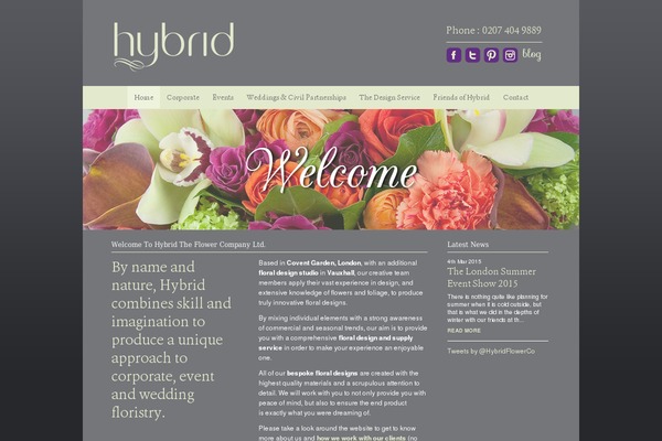 Hybrid theme site design template sample