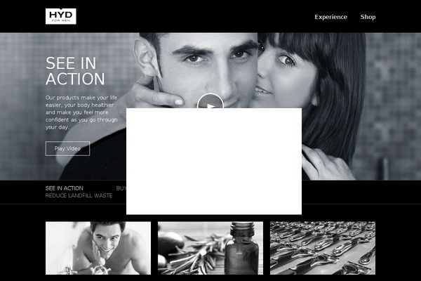 hyd WordPress theme, websites list used hyd theme hyd theme websites examples