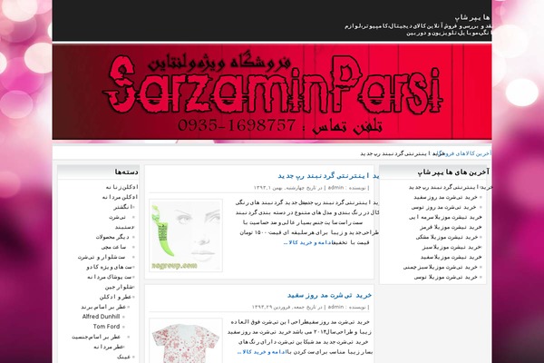 WordPress website example screenshot