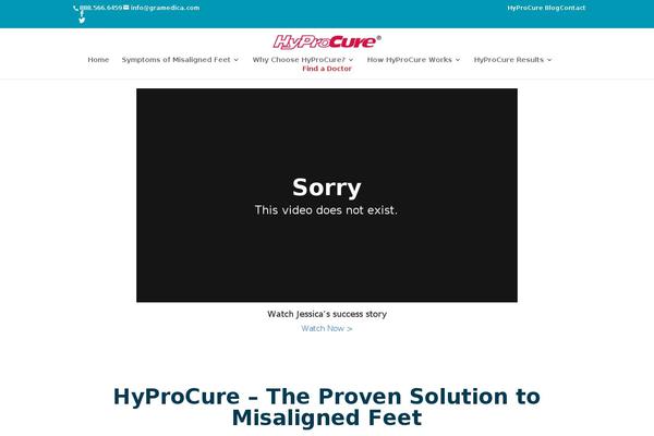 hyprocure.com site used Divi Child