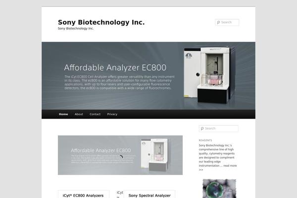 Twenty Eleven theme site design template sample
