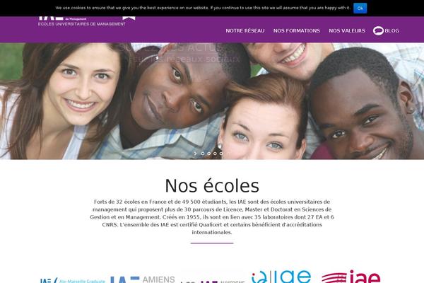 iae-france.fr site used Aka_theme