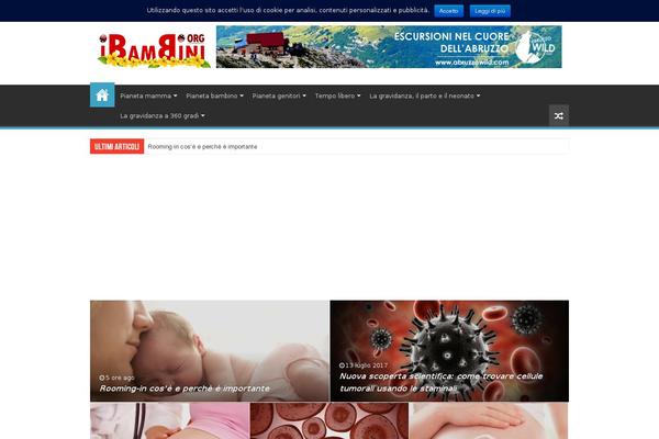 Sahifa Child theme site design template sample