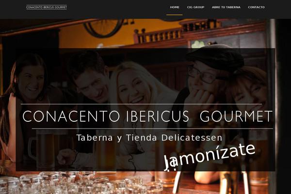 ibericusgourmet.com site used Cosonix