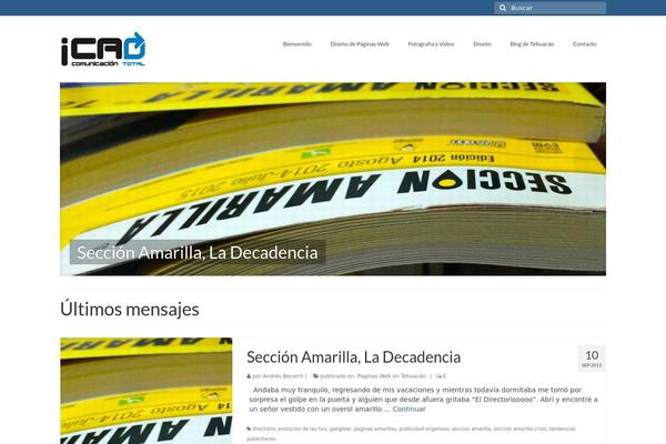 WordPress website example screenshot