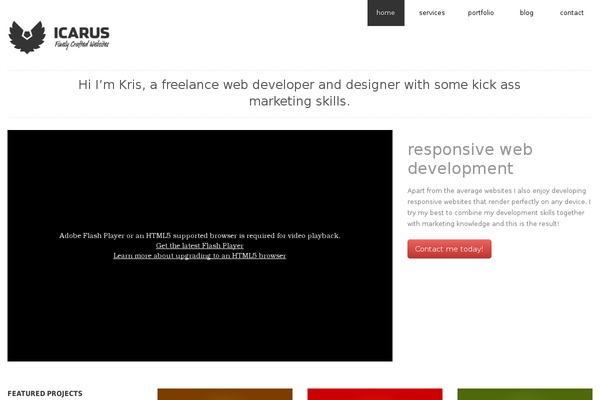 iCarus theme site design template sample