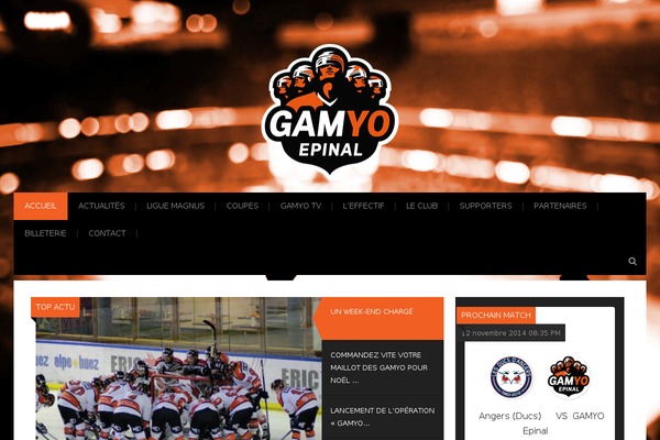 ice-epinal.com site used Halcyon