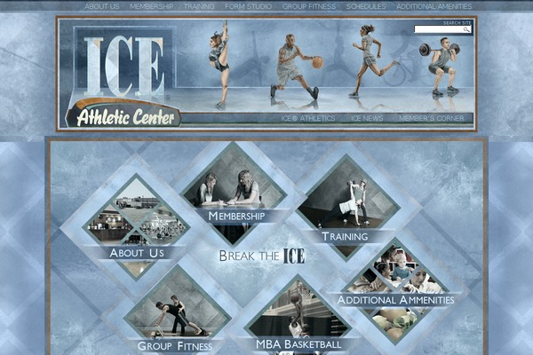 ice-gym.com site used Icetheme