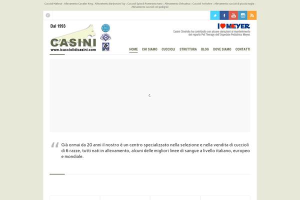 icucciolidicasini.com site used Casini