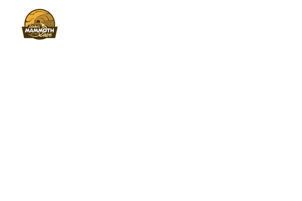 The7 theme site design template sample