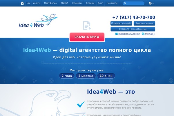 idea4web.ru site used Twentyeleven_new