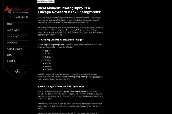 WordPress website example screenshot