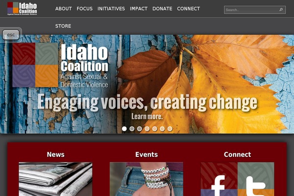 idvsa.org site used Engaging