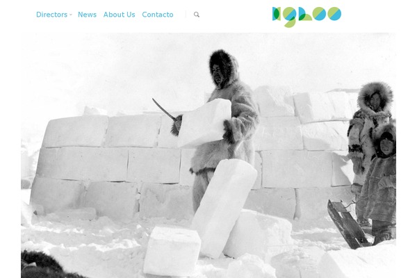 Salient theme site design template sample