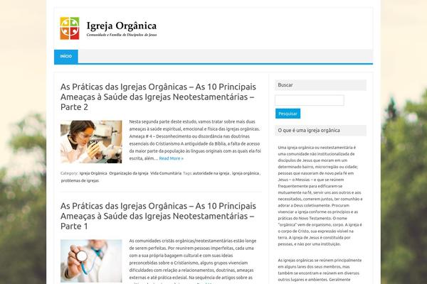 Iconic One theme site design template sample