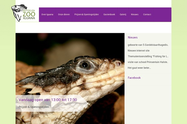 Iguana theme site design template sample