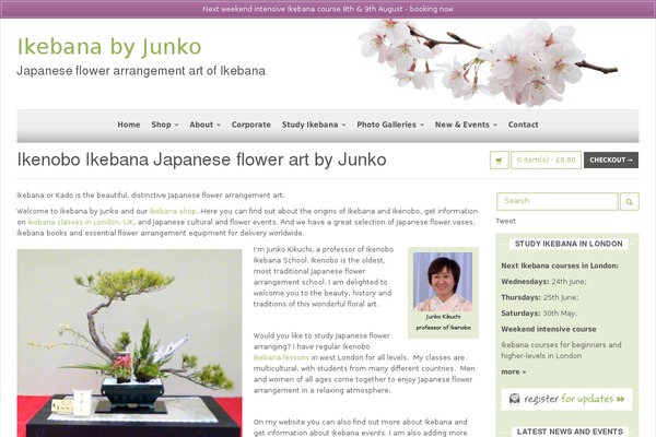 Ikebana theme site design template sample