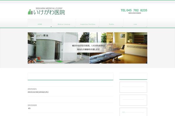 WordPress website example screenshot