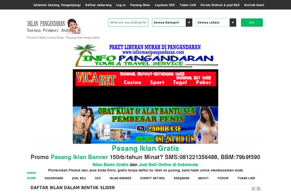 Classifier theme websites examples