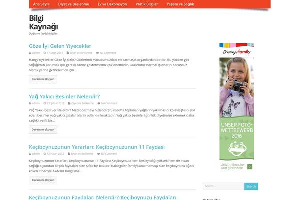 MesoColumn theme site design template sample