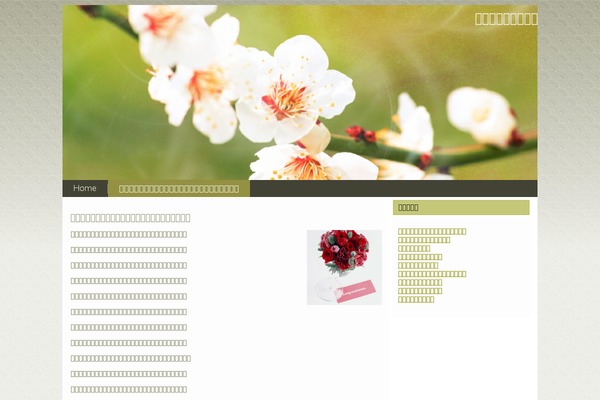 ilohelp.com site used 1207