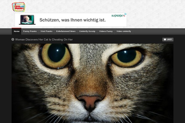 Blogshop theme site design template sample