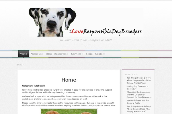 Magnificent theme site design template sample