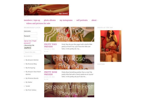 WordPress website example screenshot