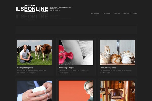 ilseonline.com site used Work
