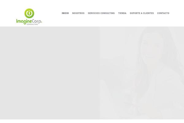 imaginecorp.com.mx site used Executive-wp