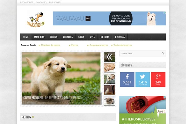 Sahifa theme site design template sample