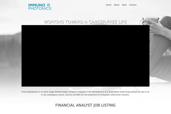 Twenty Eleven theme site design template sample