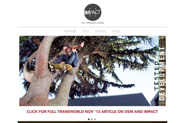 impact-skate.com site used IMPACT