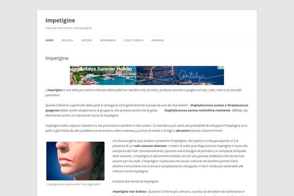 Twenty Twelve theme site design template sample