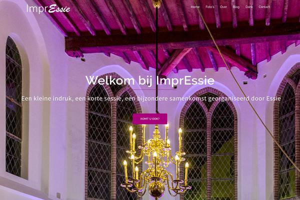 WordPress website example screenshot