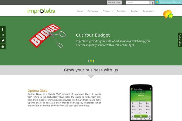 Custom theme site design template sample