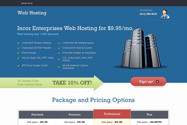 WebHosting theme websites examples