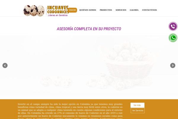 Site using Widgetkit plugin
