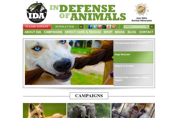 idacom WordPress theme, websites list used idacom theme idacom theme websites examples