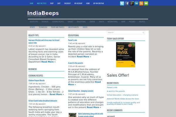 NewsReady theme websites examples