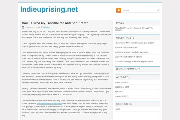 WordPress website example screenshot