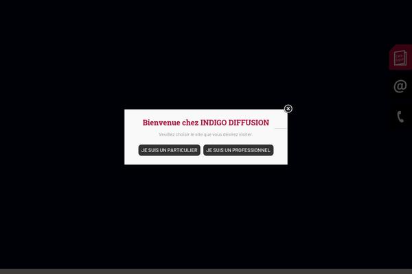 Site using Popup Builder plugin