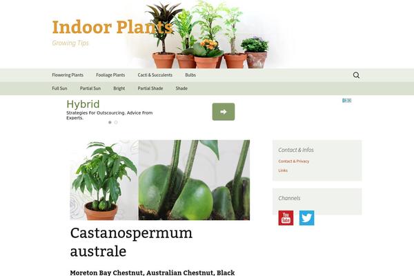 plants theme websites examples